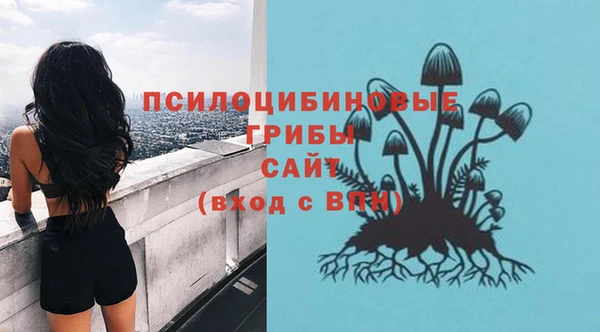 метамфетамин Аркадак